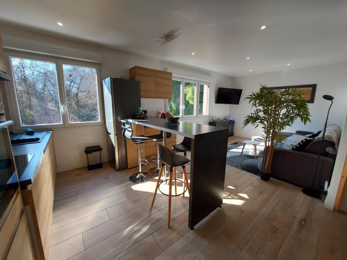 Superbe Appartement Au Centre De St Jorioz Saint-Jorioz Eksteriør bilde